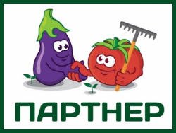 Партнер
