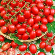 Томат Детский сладкий сливка