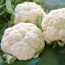 Капуста Русский деликатес (цветная)