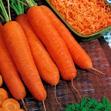 Морковь Флакоро