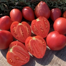 Томат Розовая страсть (Dwarf Pink Passion)