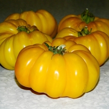 Томат Измаильский ребристый (Ismail's ribbed)